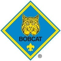 Bobcat, Greater LA Scouting