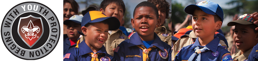 Picture of Scouts