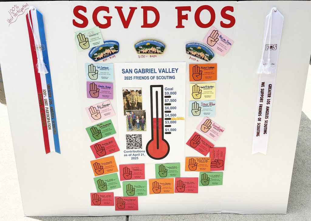 SGVD FOS Award